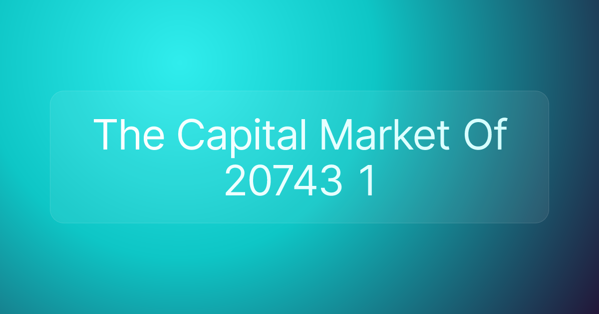 The Capital Market Of 20743 1