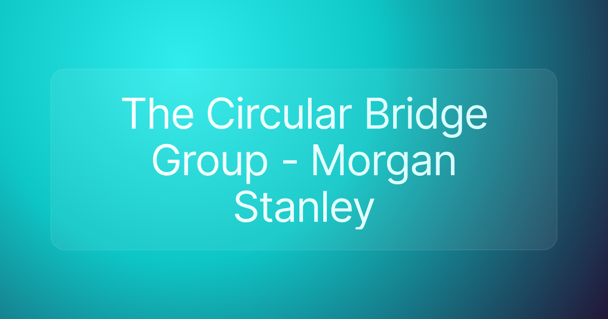 The Circular Bridge Group - Morgan Stanley