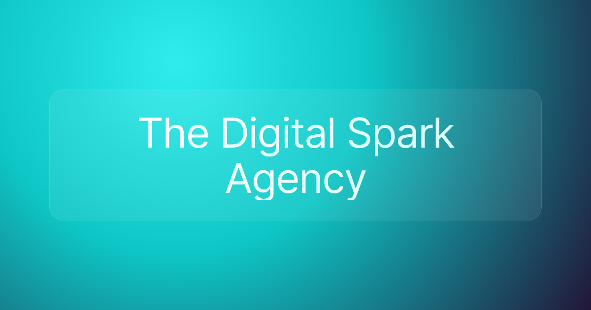 The Digital Spark Agency