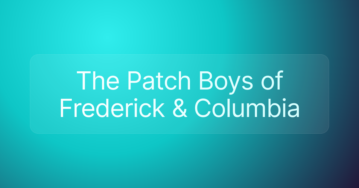 The Patch Boys of Frederick & Columbia