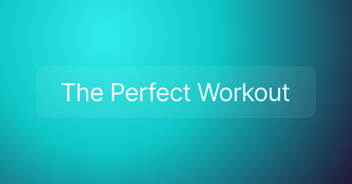 The Perfect Workout