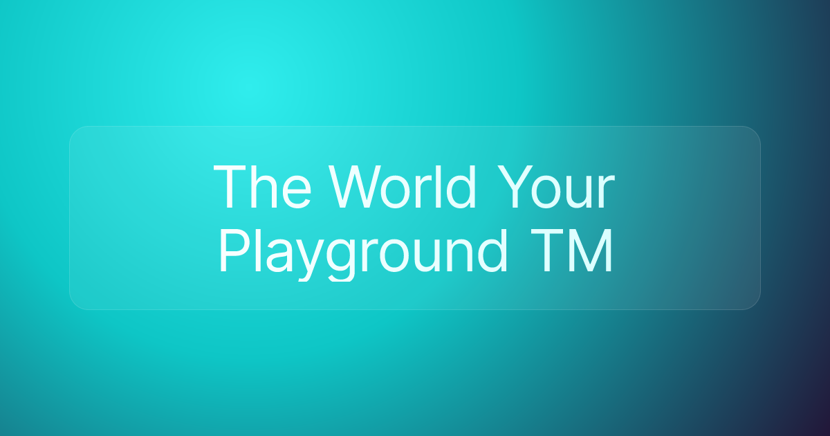 The World Your Playground TM