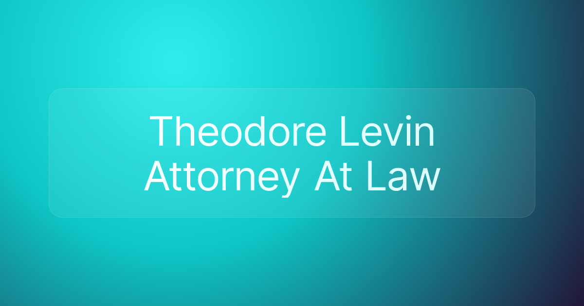 Theodore Levin Attorney At Law