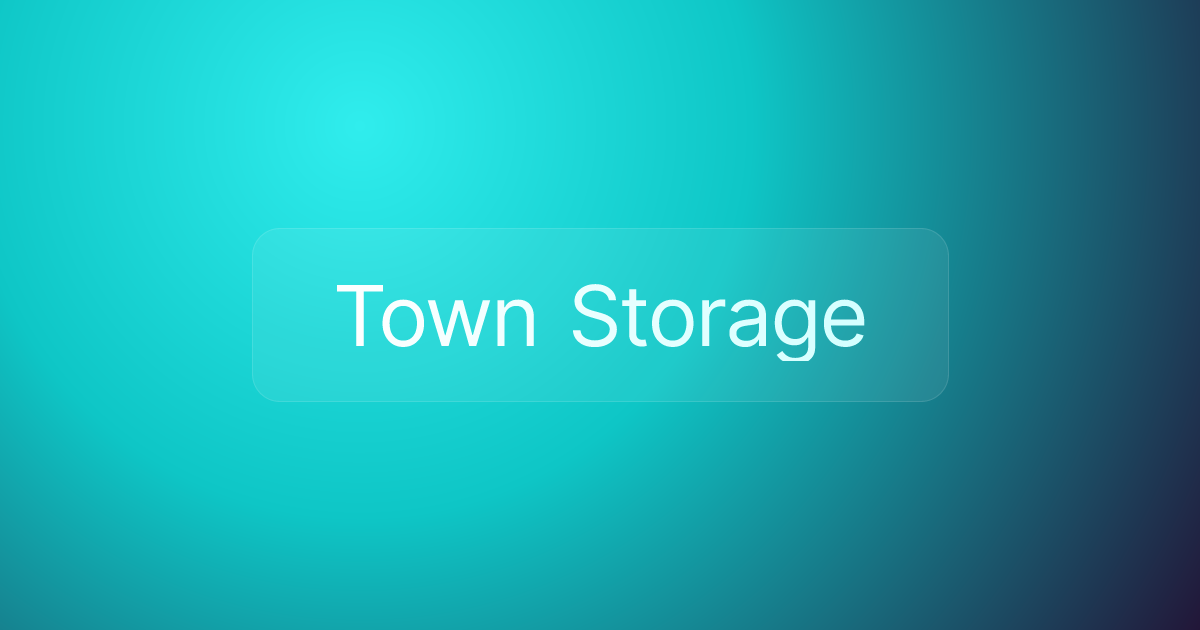 Town Storage