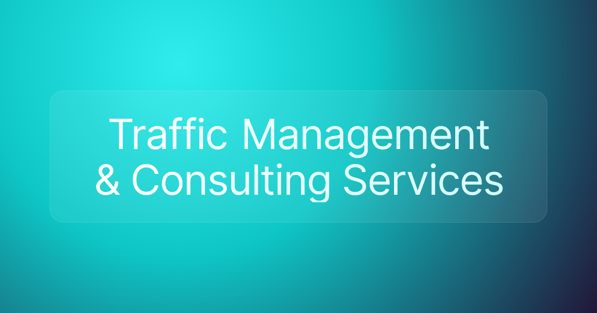 Traffic Management & Consulting Services