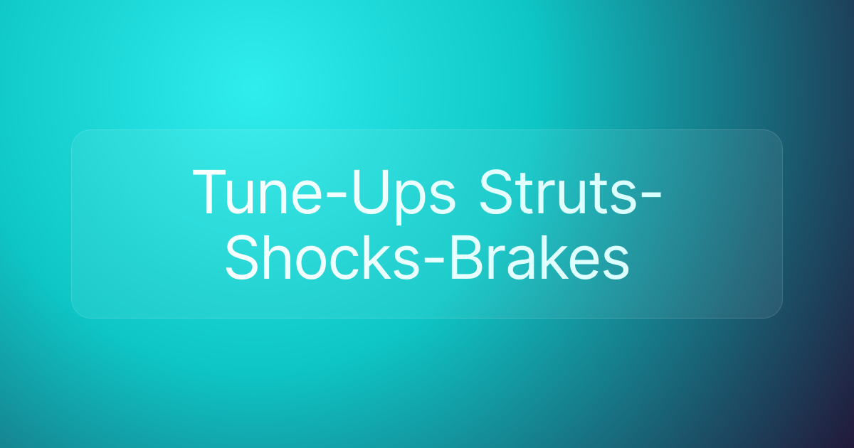 Tune-Ups Struts-Shocks-Brakes