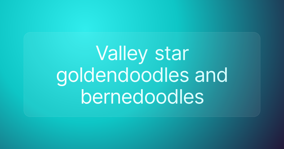 Valley star goldendoodles and bernedoodles