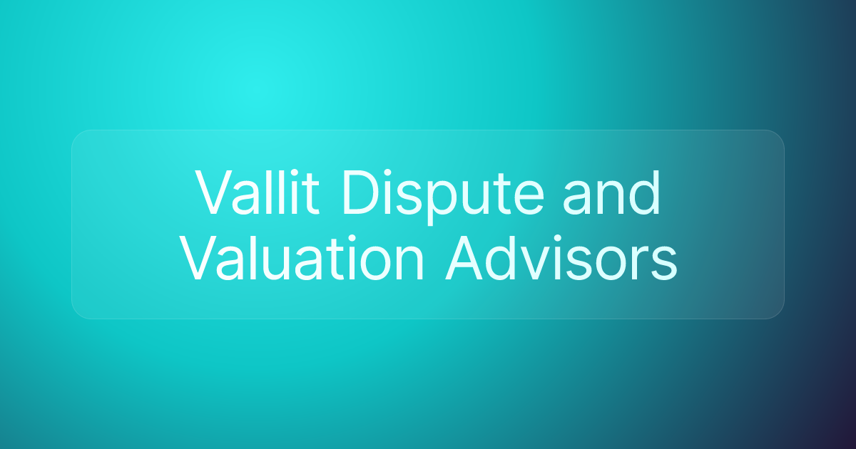 Vallit Dispute and Valuation Advisors