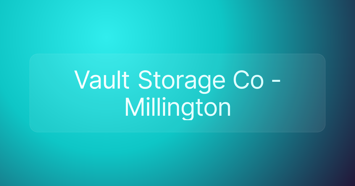 Vault Storage Co - Millington