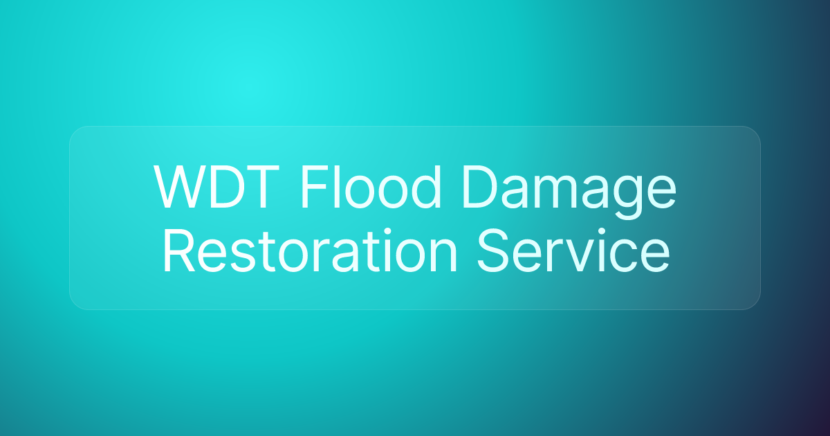 WDT Flood Damage Restoration Service