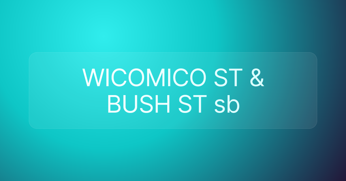 WICOMICO ST & BUSH ST sb
