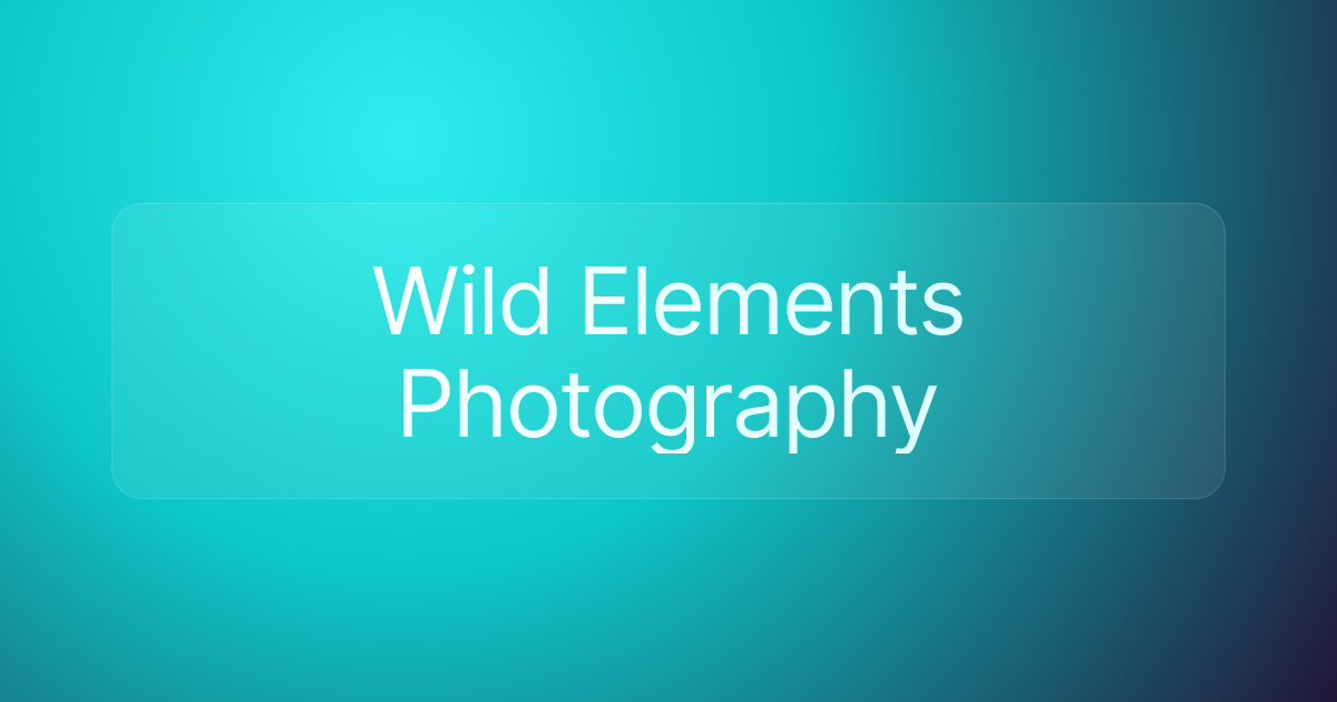 Wild Elements Photography