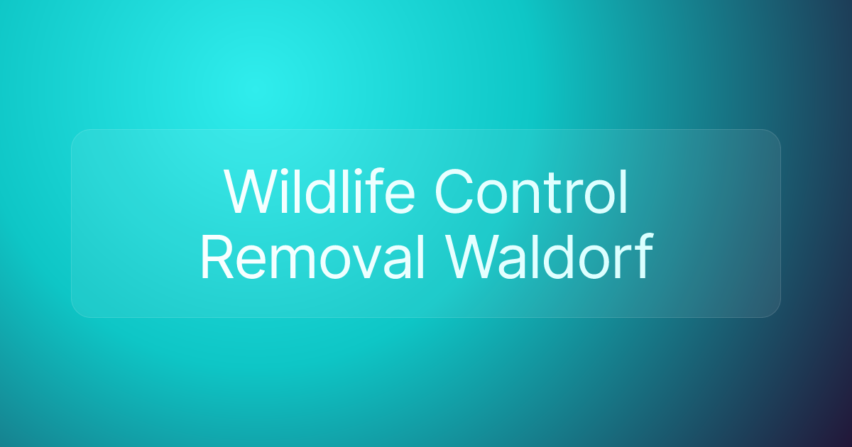Wildlife Control Removal Waldorf
