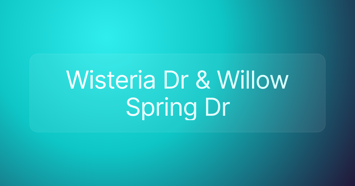Wisteria Dr & Willow Spring Dr
