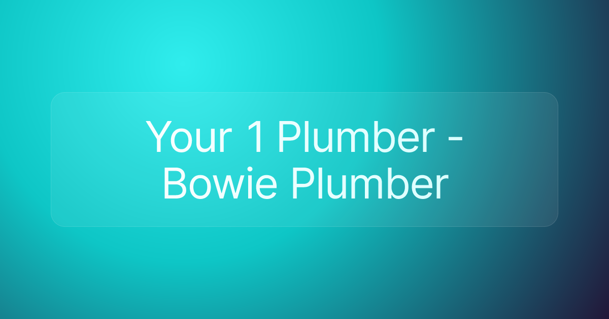 Your 1 Plumber - Bowie Plumber