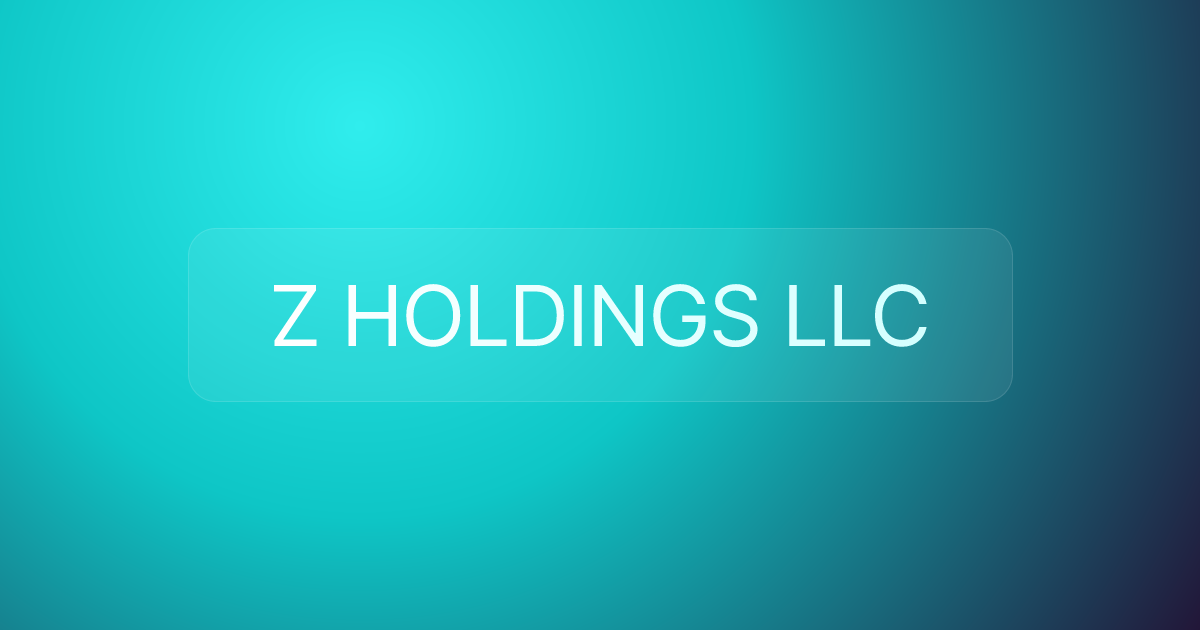 Z HOLDINGS LLC