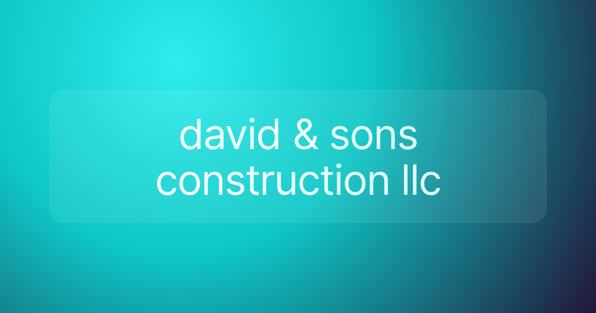 david & sons construction llc